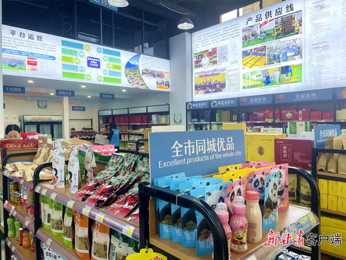 隴南市武都區(qū) 油橄欖產業(yè)蓬勃 奏響春節(jié)序曲