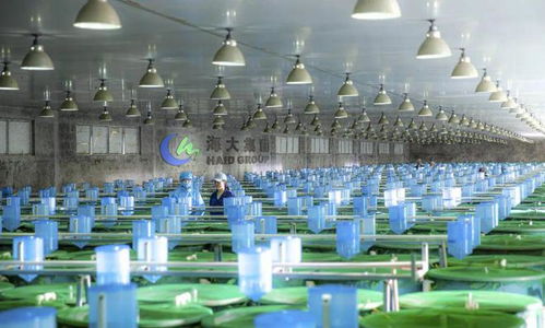 2024,哪些企業(yè)會(huì)倒下 哪些企業(yè)會(huì)雄起 哪些品種會(huì)暴雷 又有哪些機(jī)會(huì) 四問中國(guó)水產(chǎn)業(yè)