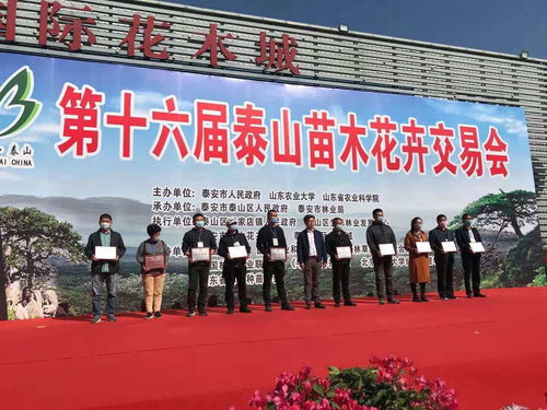 喜訊 抬頭園林榮獲泰安苗木交易會 產品金獎