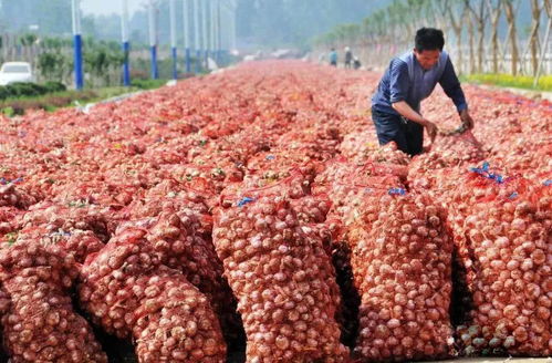 濟(jì)寧發(fā)布重大利好消息 惠及全市800萬(wàn)人...